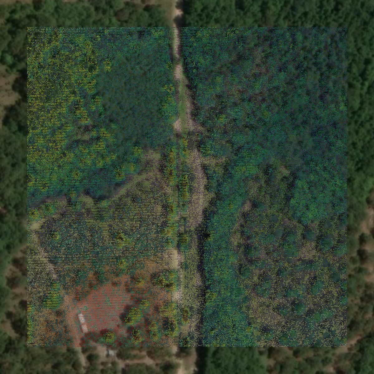 This image shows a LiDAR point cloud in Johnson County created using GIS data in Equator.