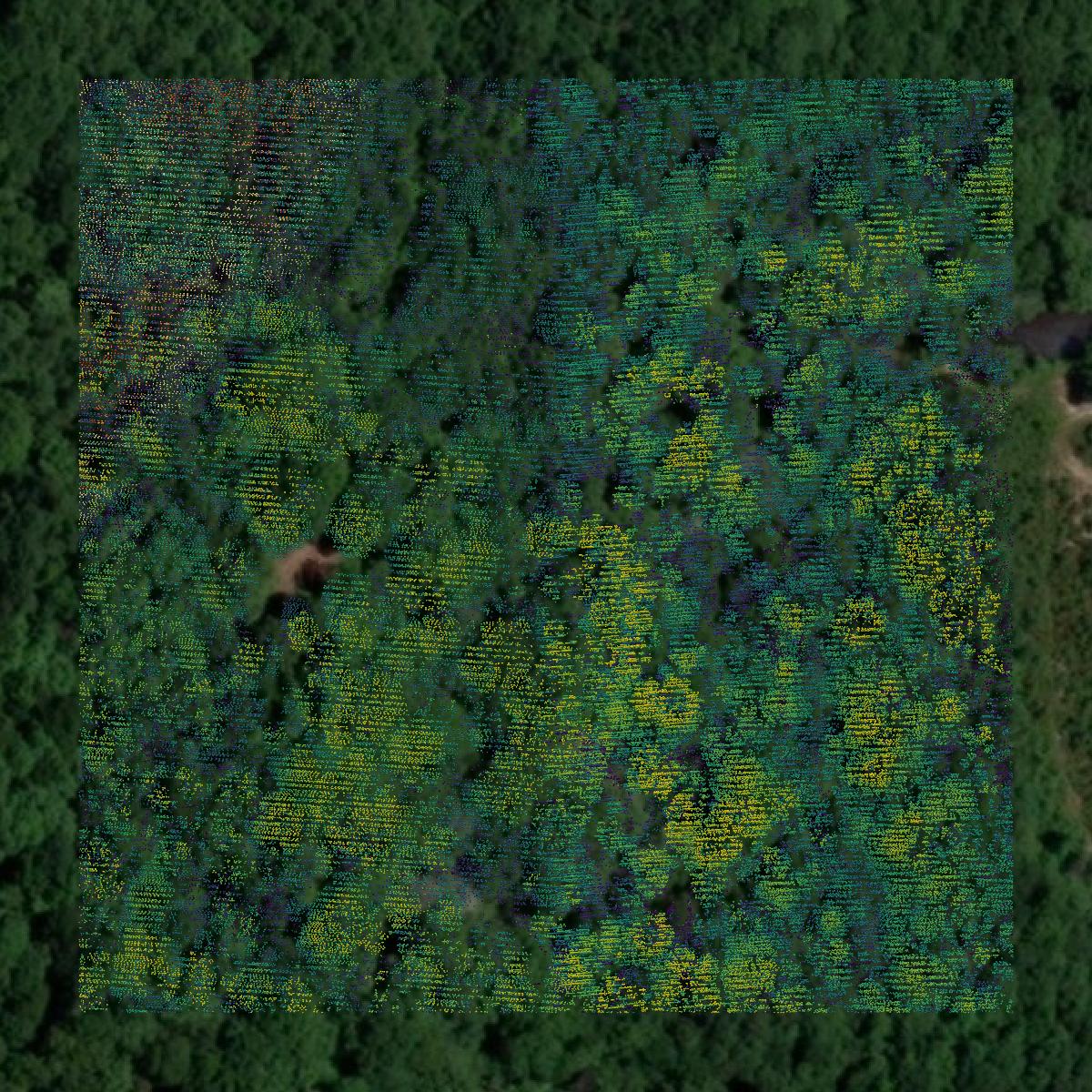 This image shows a LiDAR point cloud in Johnson County created using GIS data in Equator.