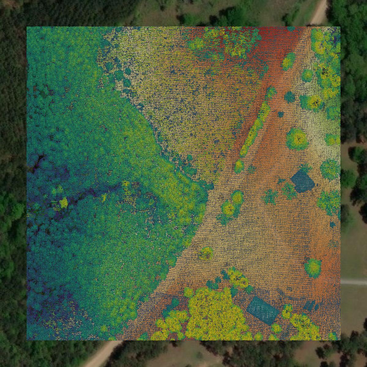This image shows a LiDAR point cloud in Jones County created using GIS data in Equator.
