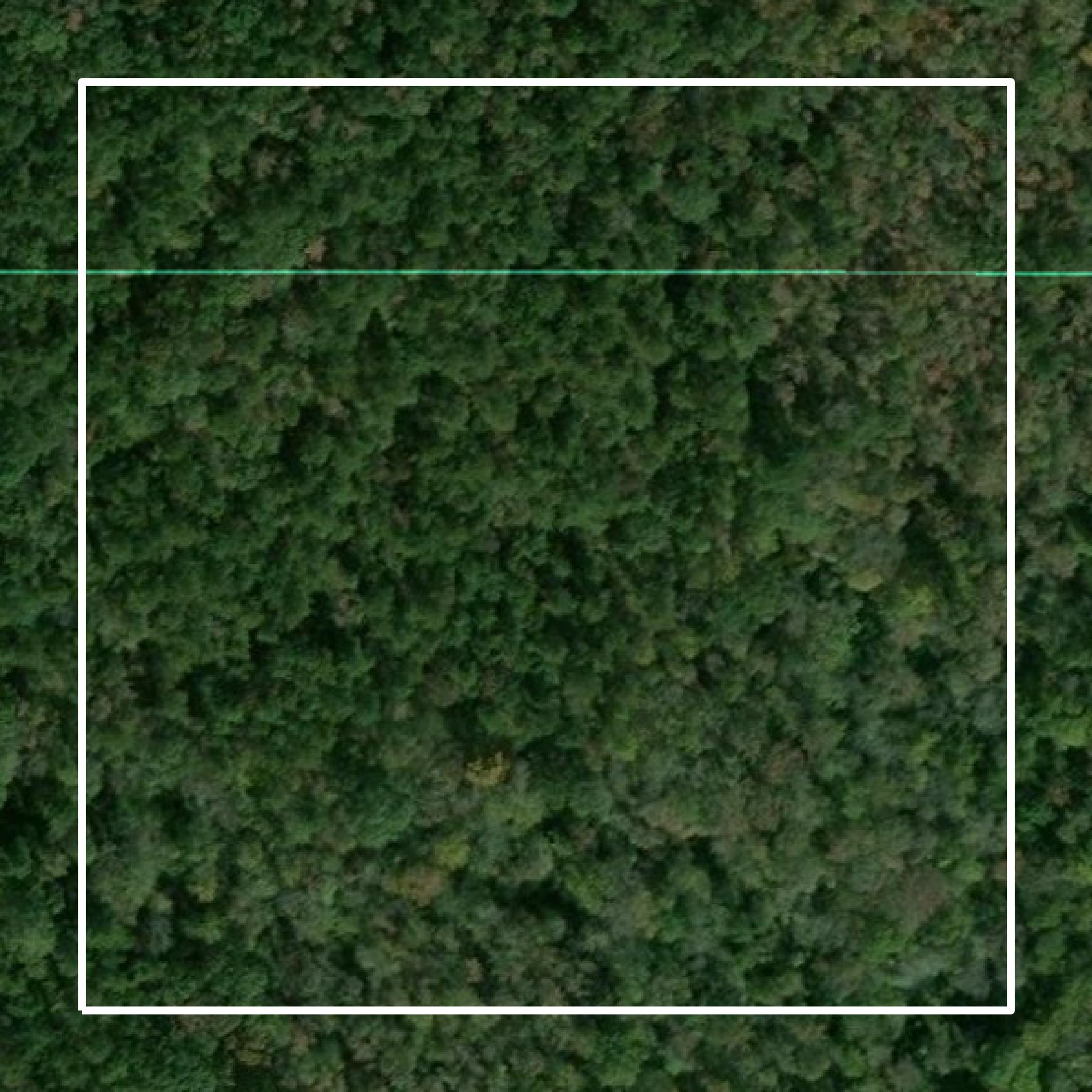 This image shows parcel and building data in Lamar County created using GIS data in Equator.