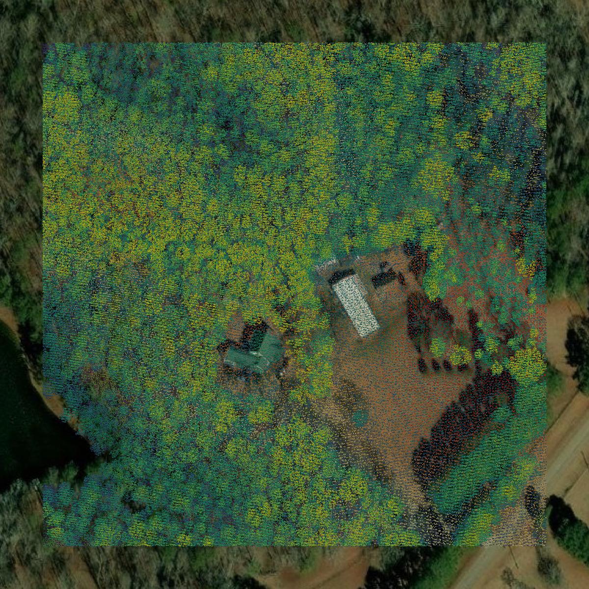 This image shows a LiDAR point cloud in Lamar County created using GIS data in Equator.