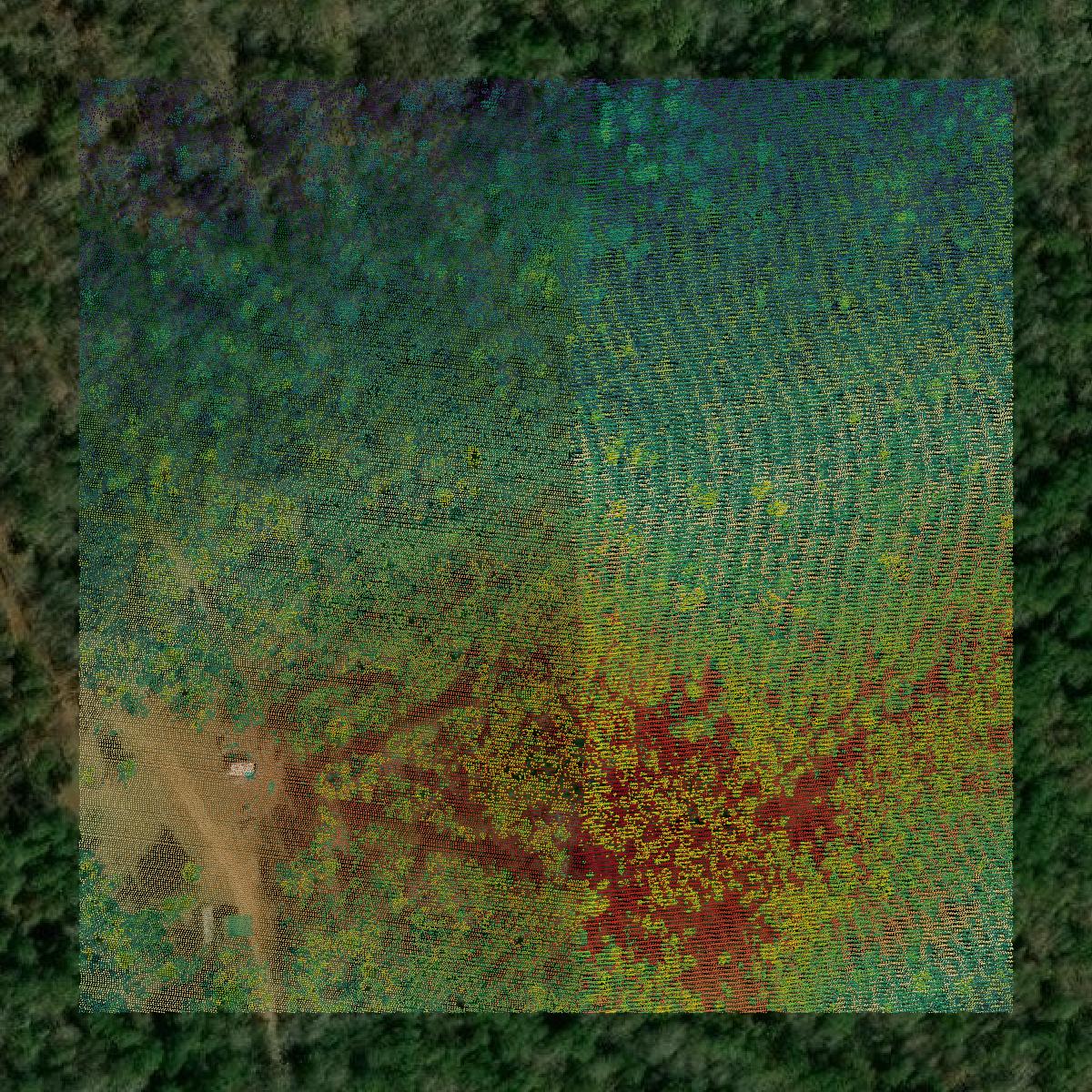 This image shows a LiDAR point cloud in Lamar County created using GIS data in Equator.