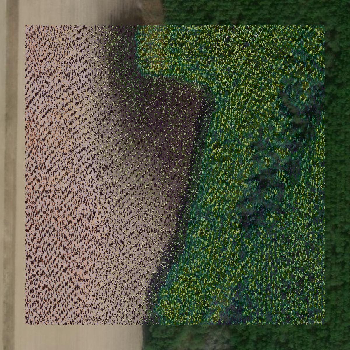 This image shows a LiDAR point cloud in Lanier County created using GIS data in Equator.