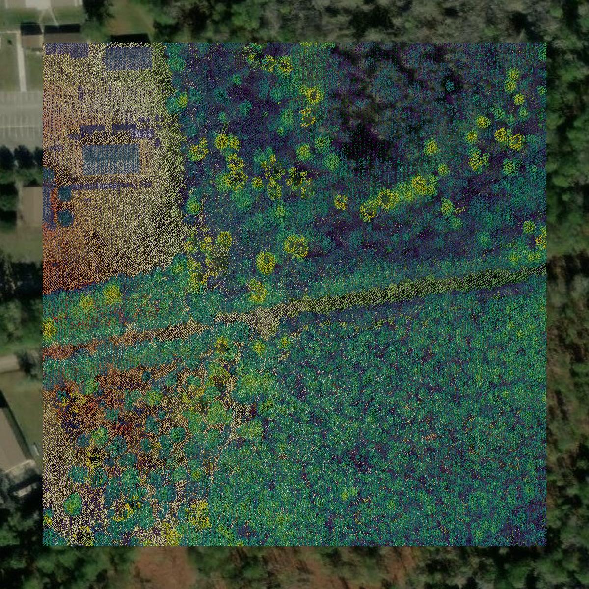 This image shows a LiDAR point cloud in Lanier County created using GIS data in Equator.