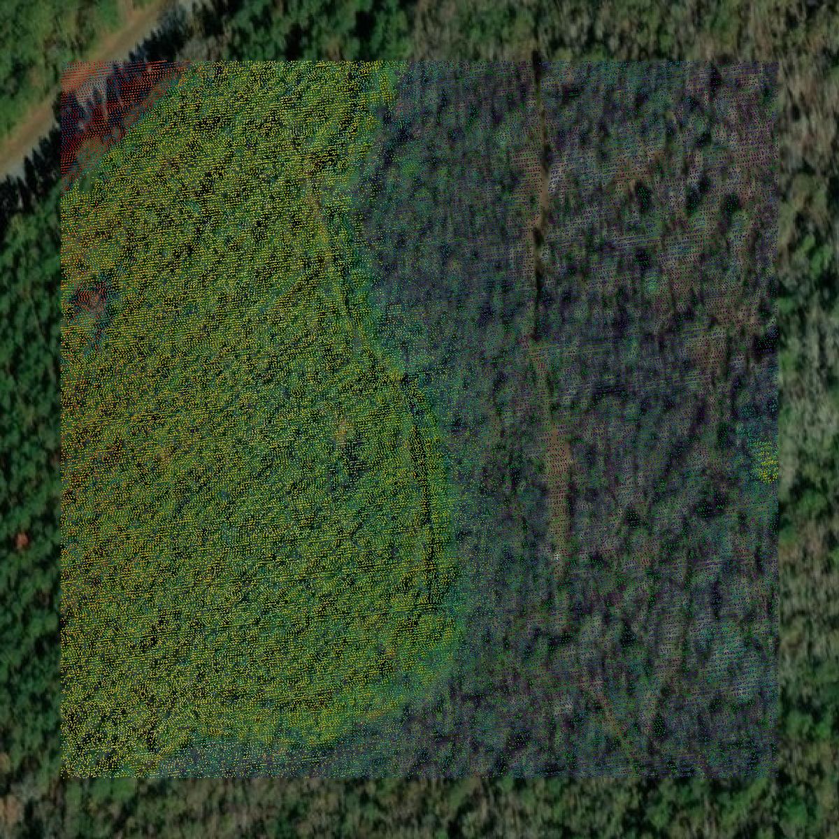 This image shows a LiDAR point cloud in Laurens County created using GIS data in Equator.
