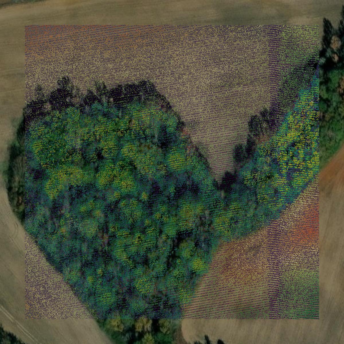 This image shows a LiDAR point cloud in Laurens County created using GIS data in Equator.