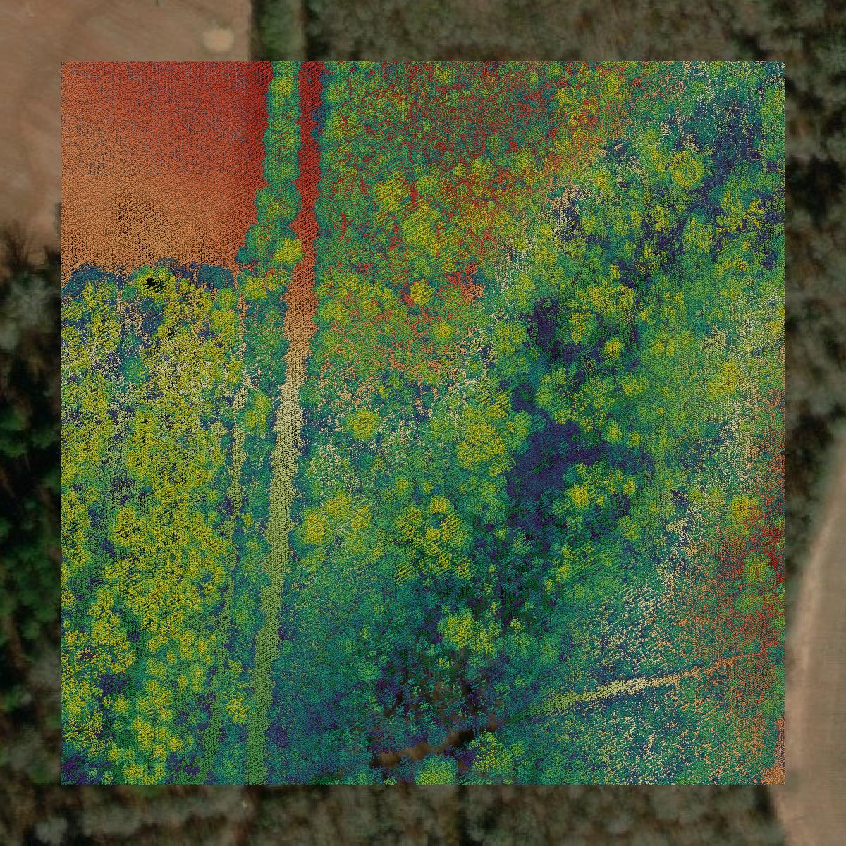 This image shows a LiDAR point cloud in Lee County created using GIS data in Equator.