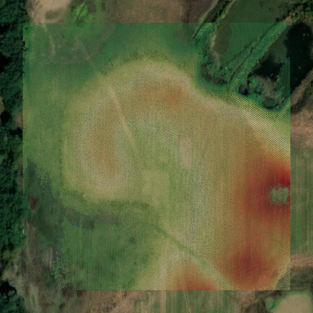 This image shows a LiDAR point cloud in Lee County created using GIS data in Equator.