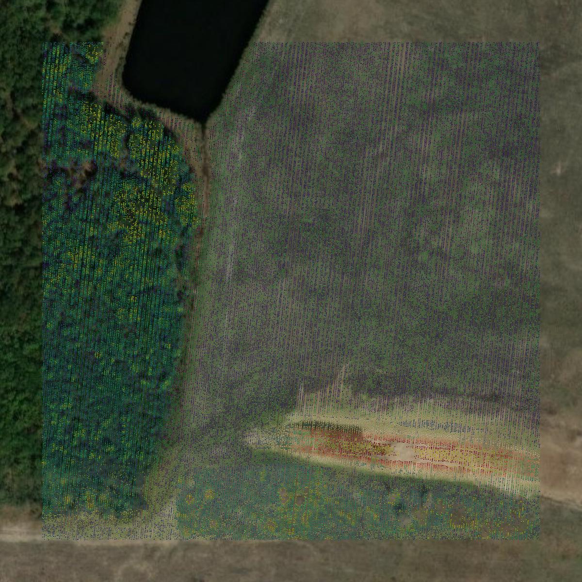This image shows a LiDAR point cloud in Liberty County created using GIS data in Equator.