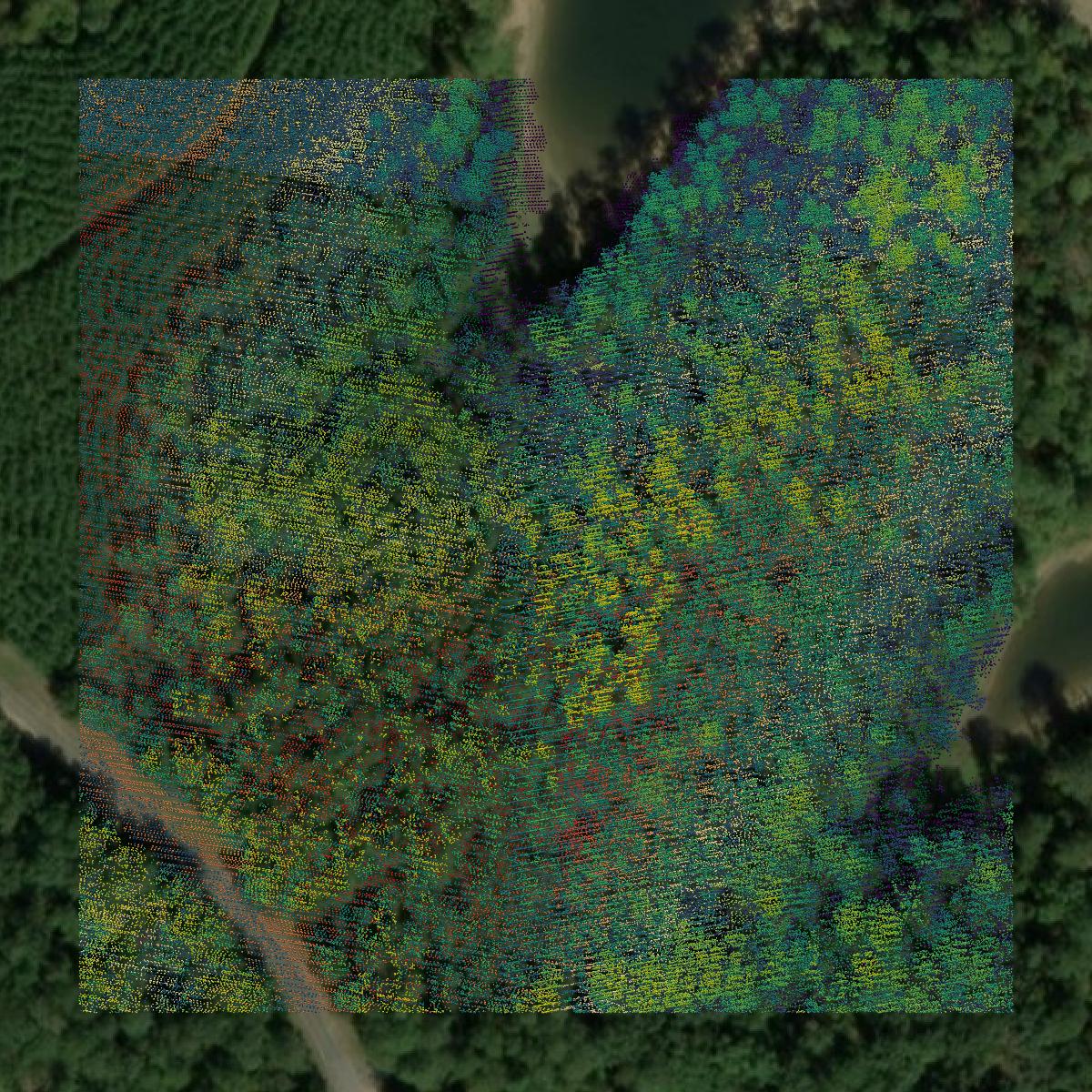 This image shows a LiDAR point cloud in Lincoln County created using GIS data in Equator.