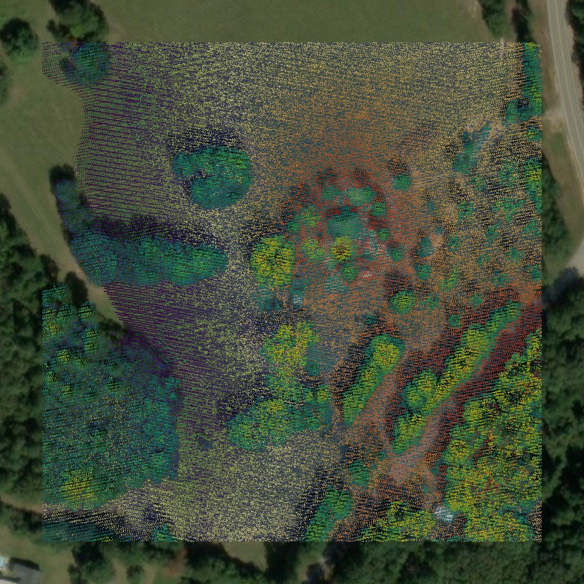 This image shows a LiDAR point cloud in Lincoln County created using GIS data in Equator.