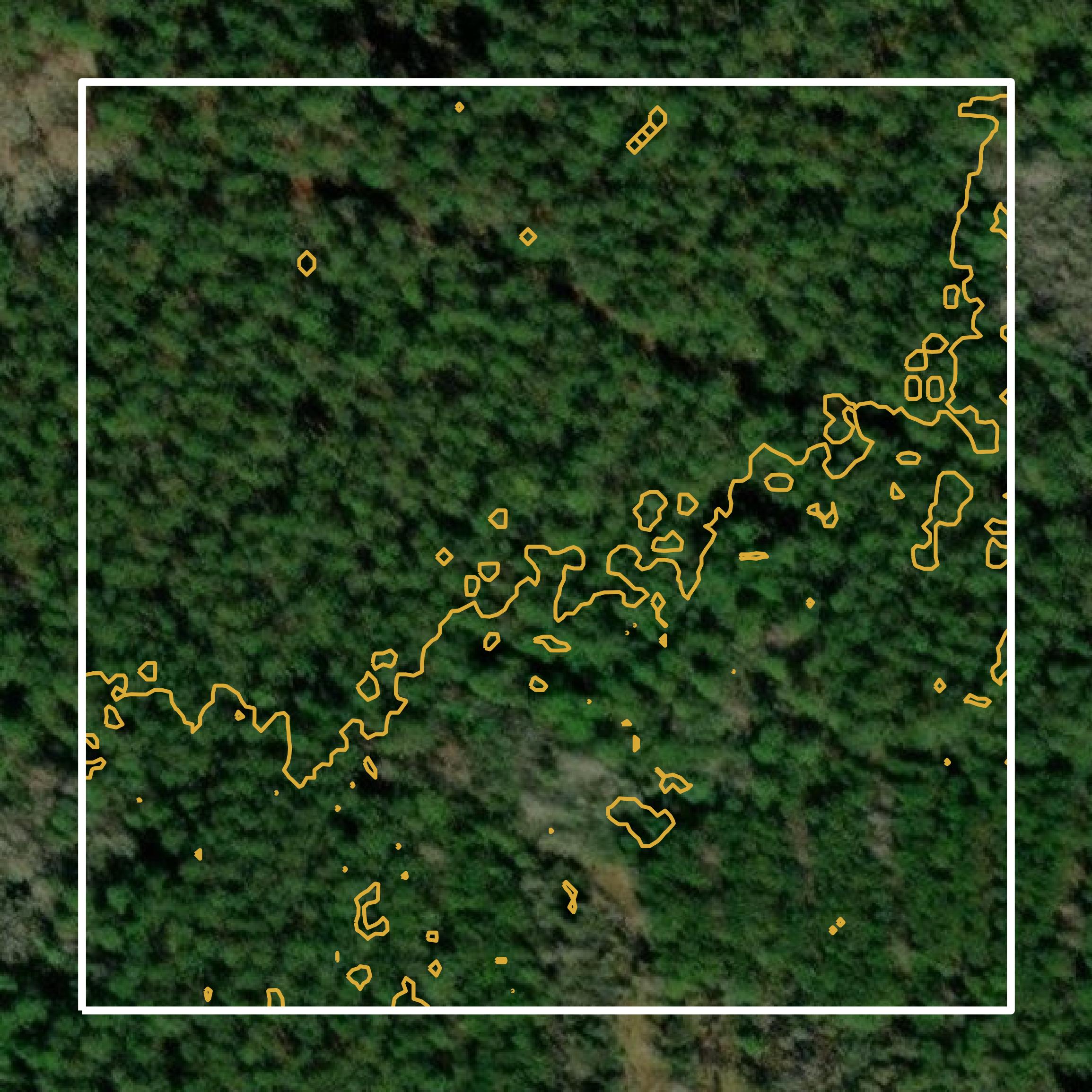 This image shows a contour map in Long County created using GIS data in Equator.