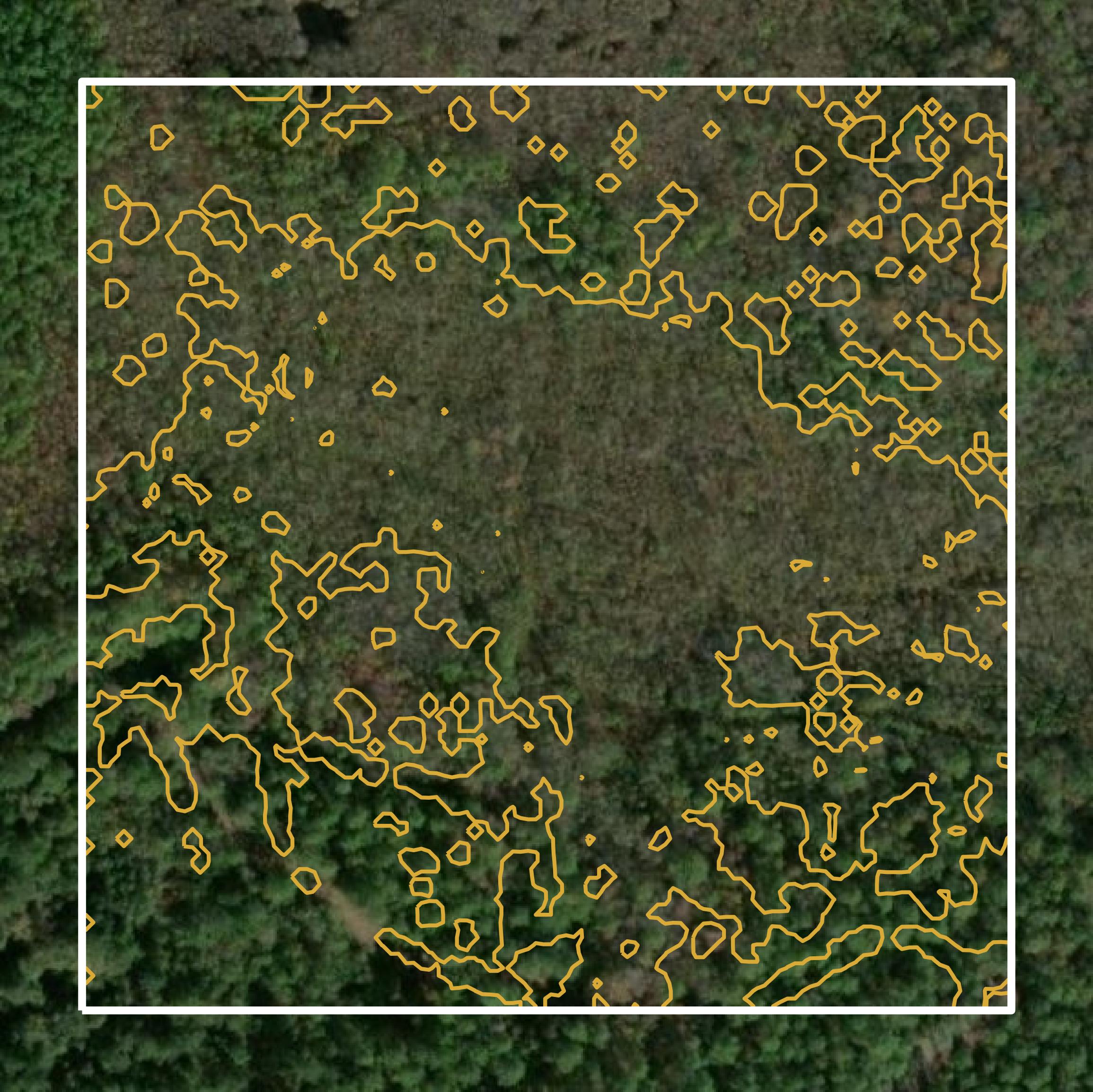 This image shows a contour map in Long County created using GIS data in Equator.