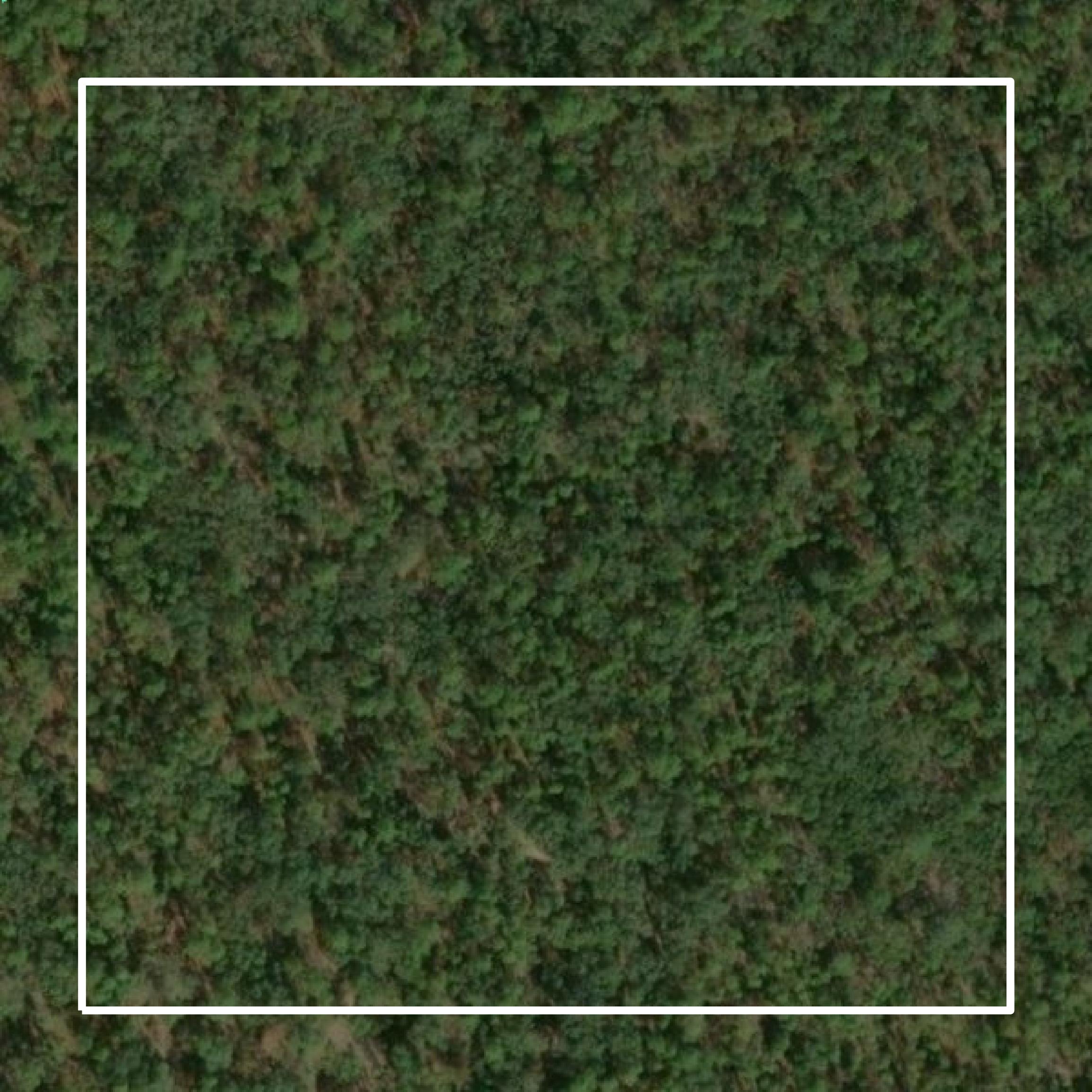 This image shows parcel and building data in Long County created using GIS data in Equator.