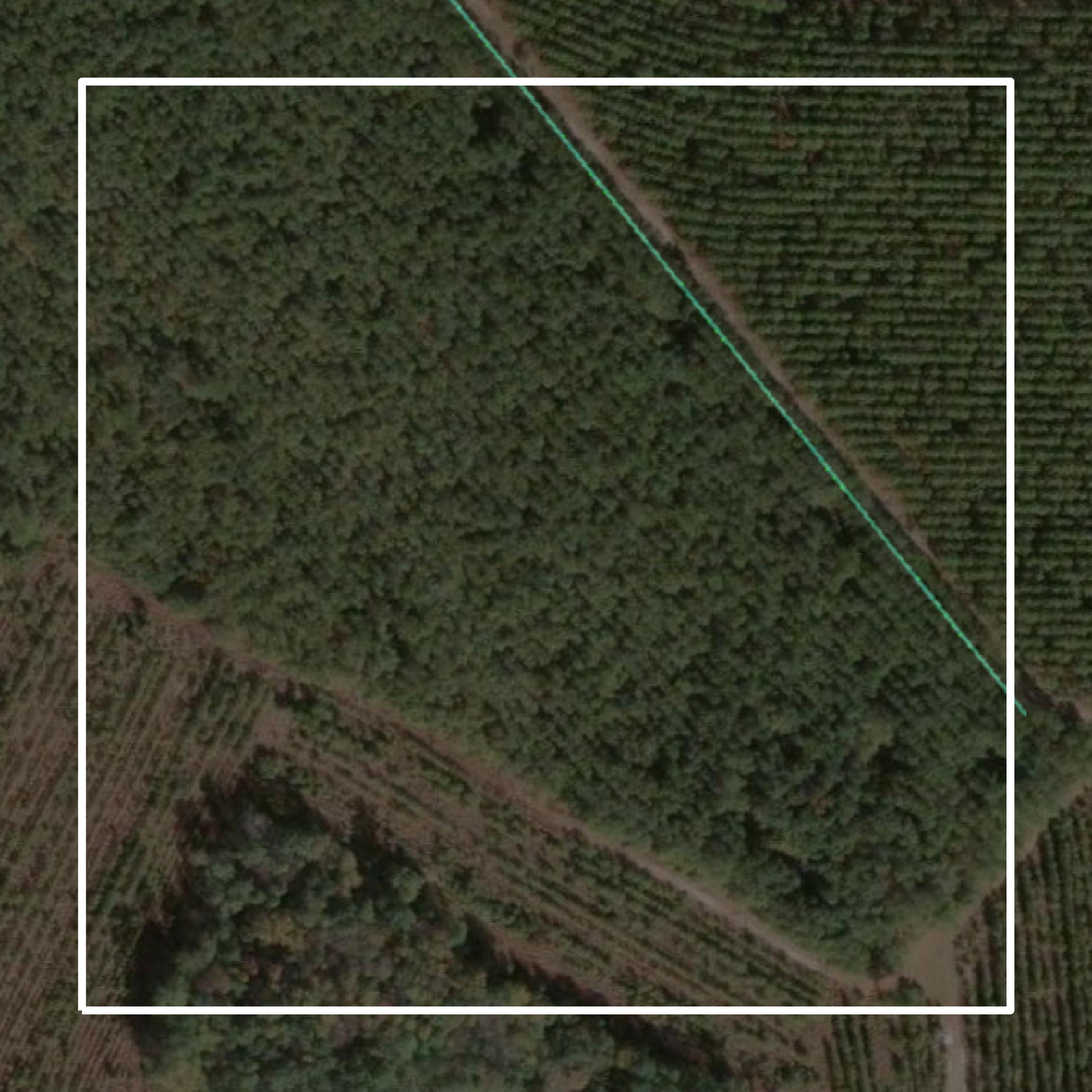 This image shows parcel and building data in Long County created using GIS data in Equator.