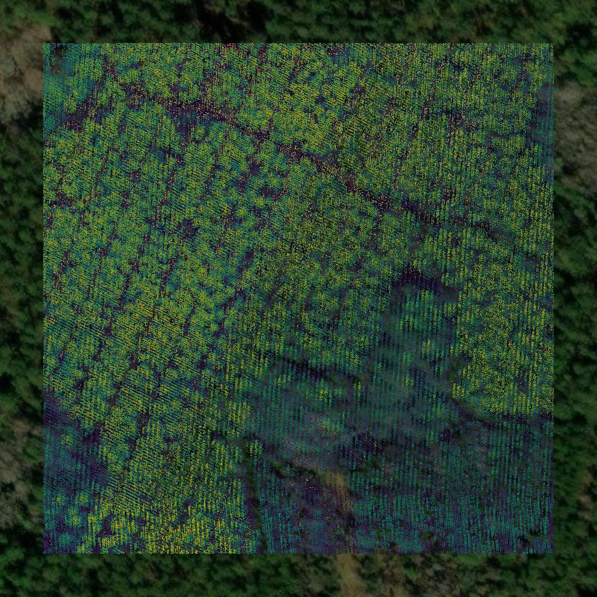This image shows a LiDAR point cloud in Long County created using GIS data in Equator.