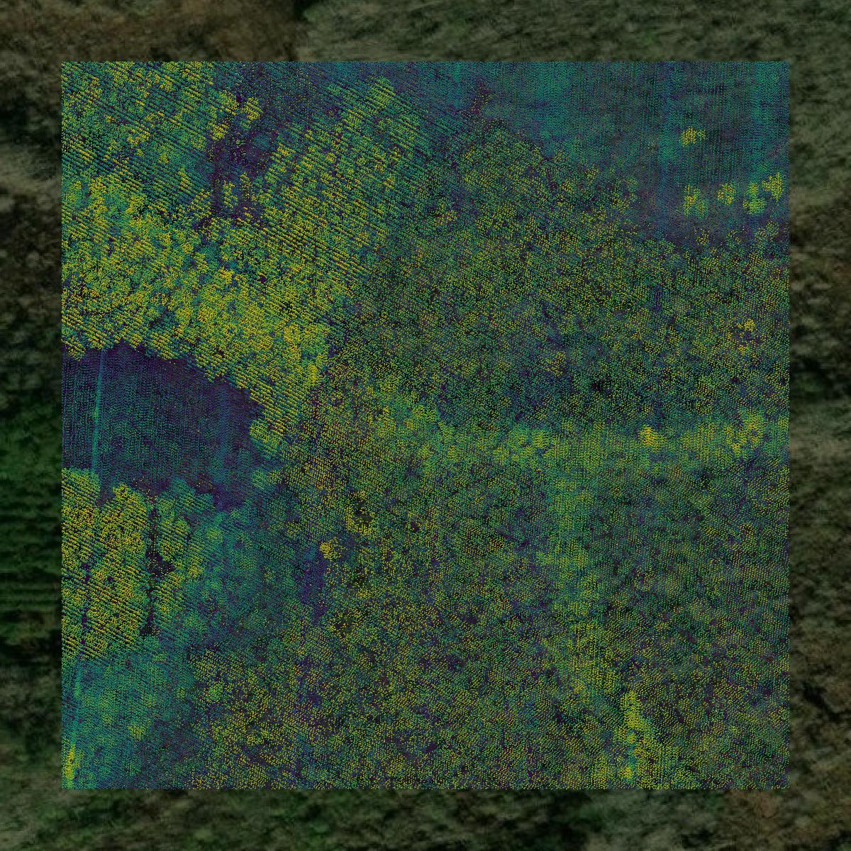 This image shows a LiDAR point cloud in Long County created using GIS data in Equator.