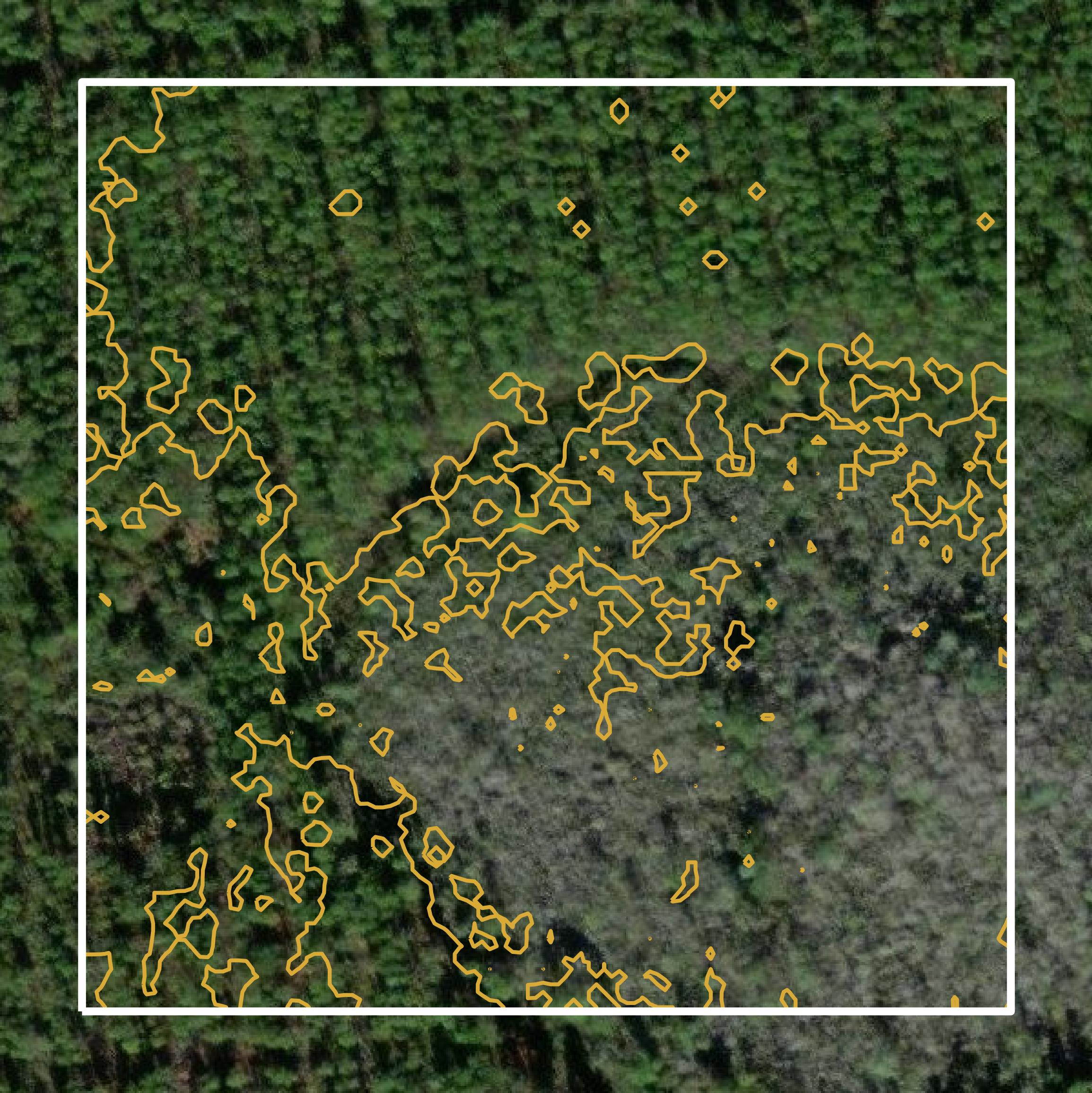 This image shows a contour map in Lowndes County created using GIS data in Equator.