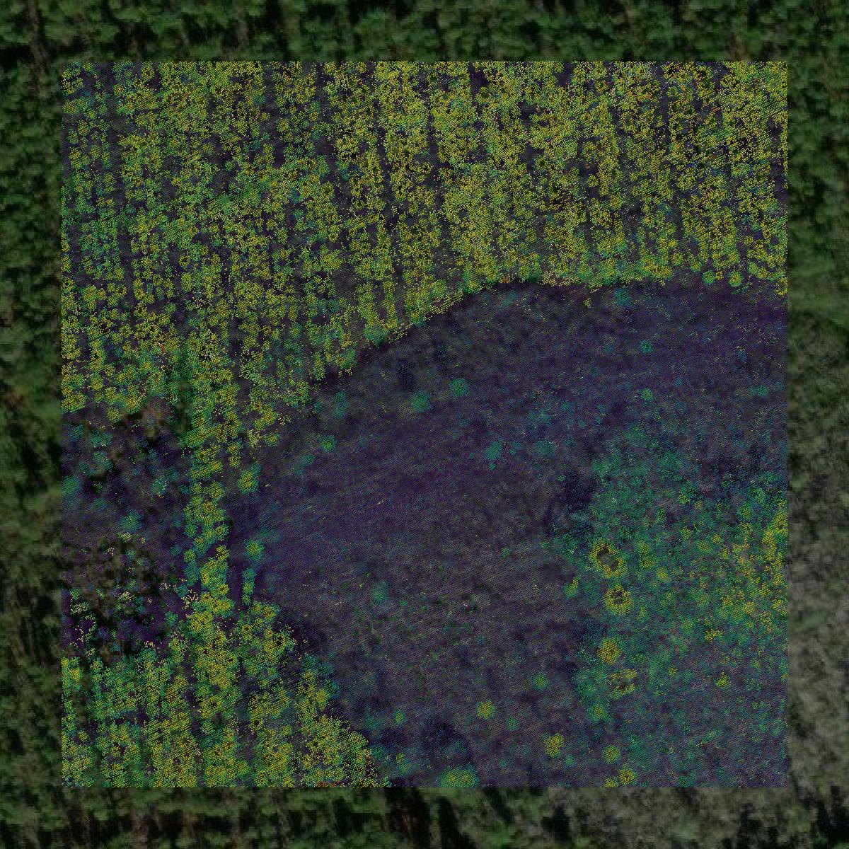This image shows a LiDAR point cloud in Lowndes County created using GIS data in Equator.
