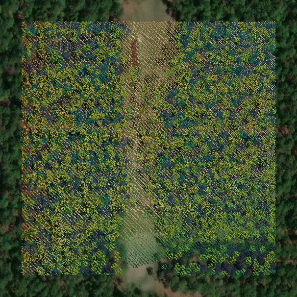 This image shows a LiDAR point cloud in Lowndes County created using GIS data in Equator.