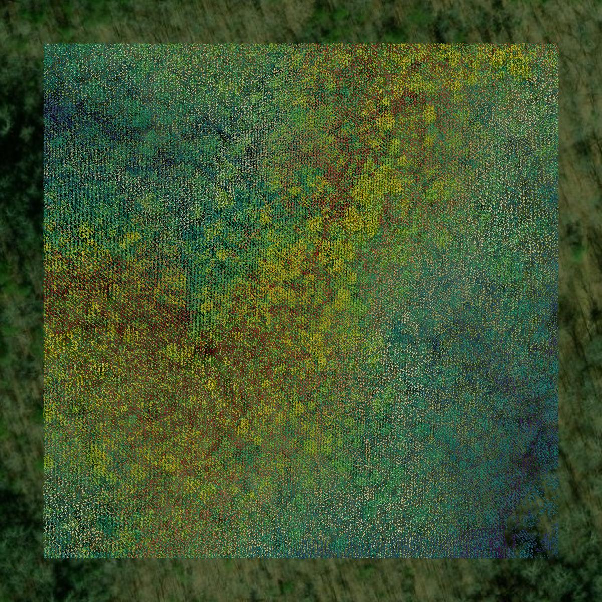 This image shows a LiDAR point cloud in Lumpkin County created using GIS data in Equator.