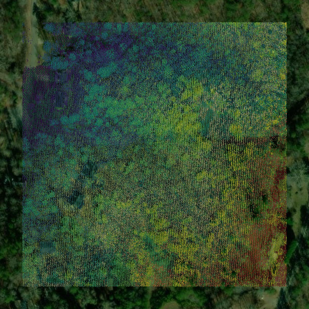 This image shows a LiDAR point cloud in Lumpkin County created using GIS data in Equator.