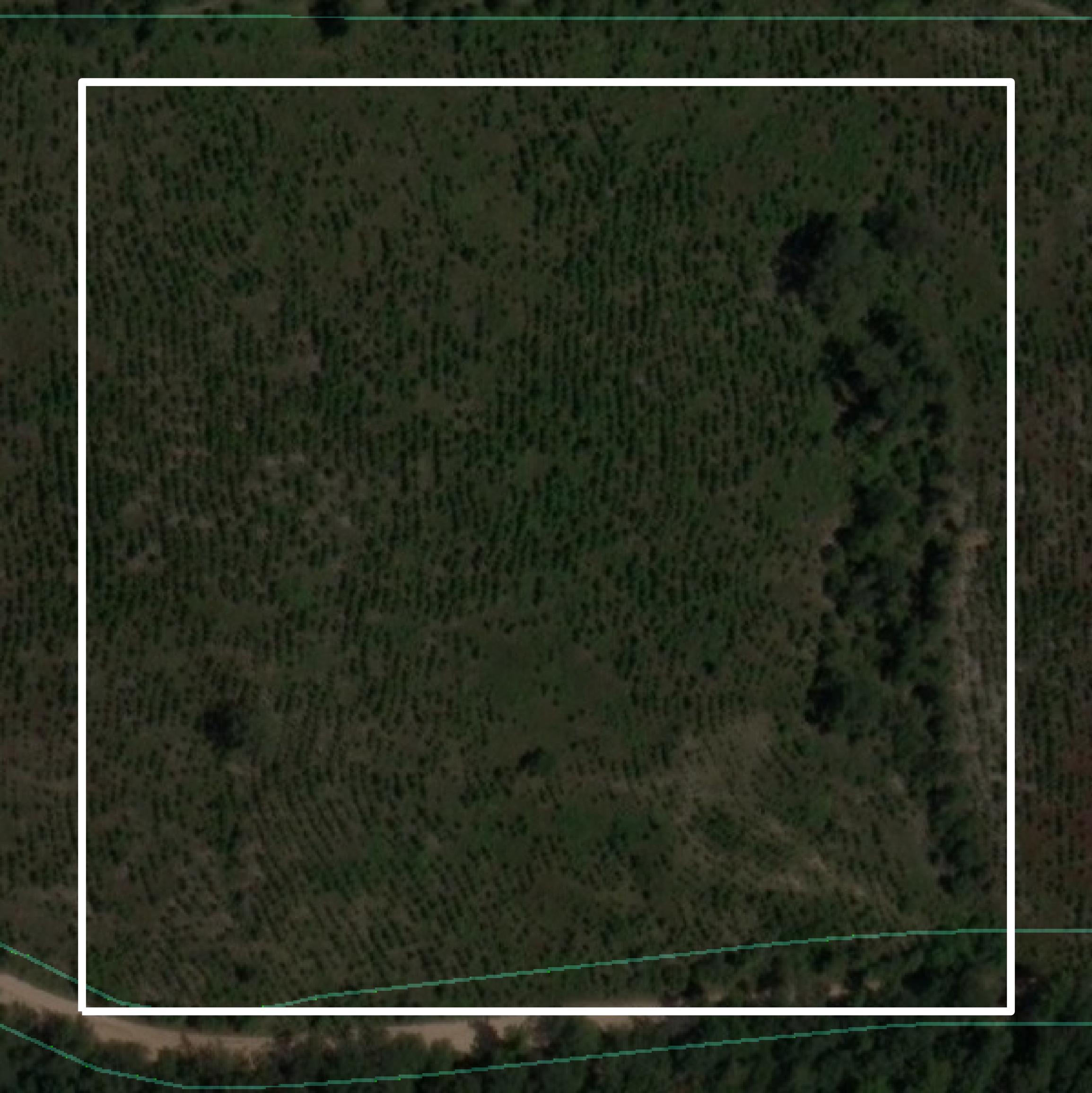 This image shows parcel and building data in Macon County created using GIS data in Equator.