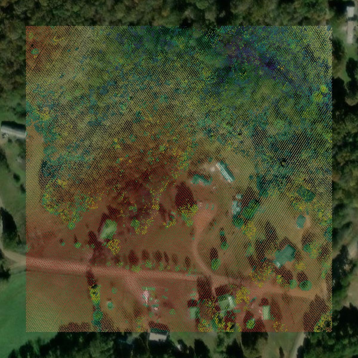 This image shows a LiDAR point cloud in Madison County created using GIS data in Equator.