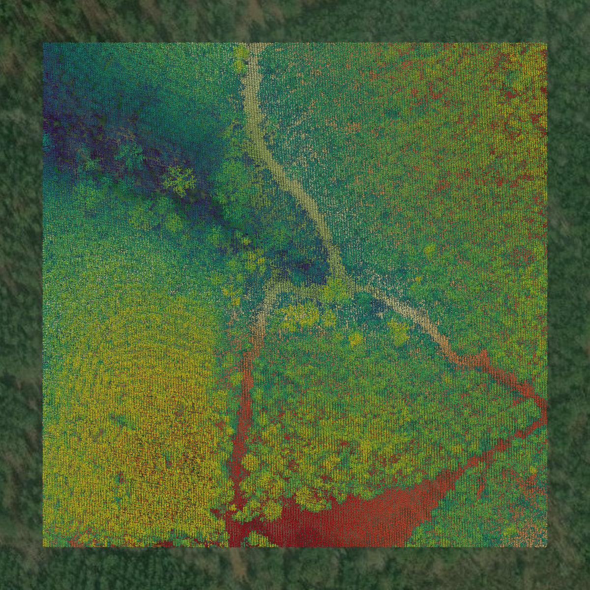 This image shows a LiDAR point cloud in Marion County created using GIS data in Equator.