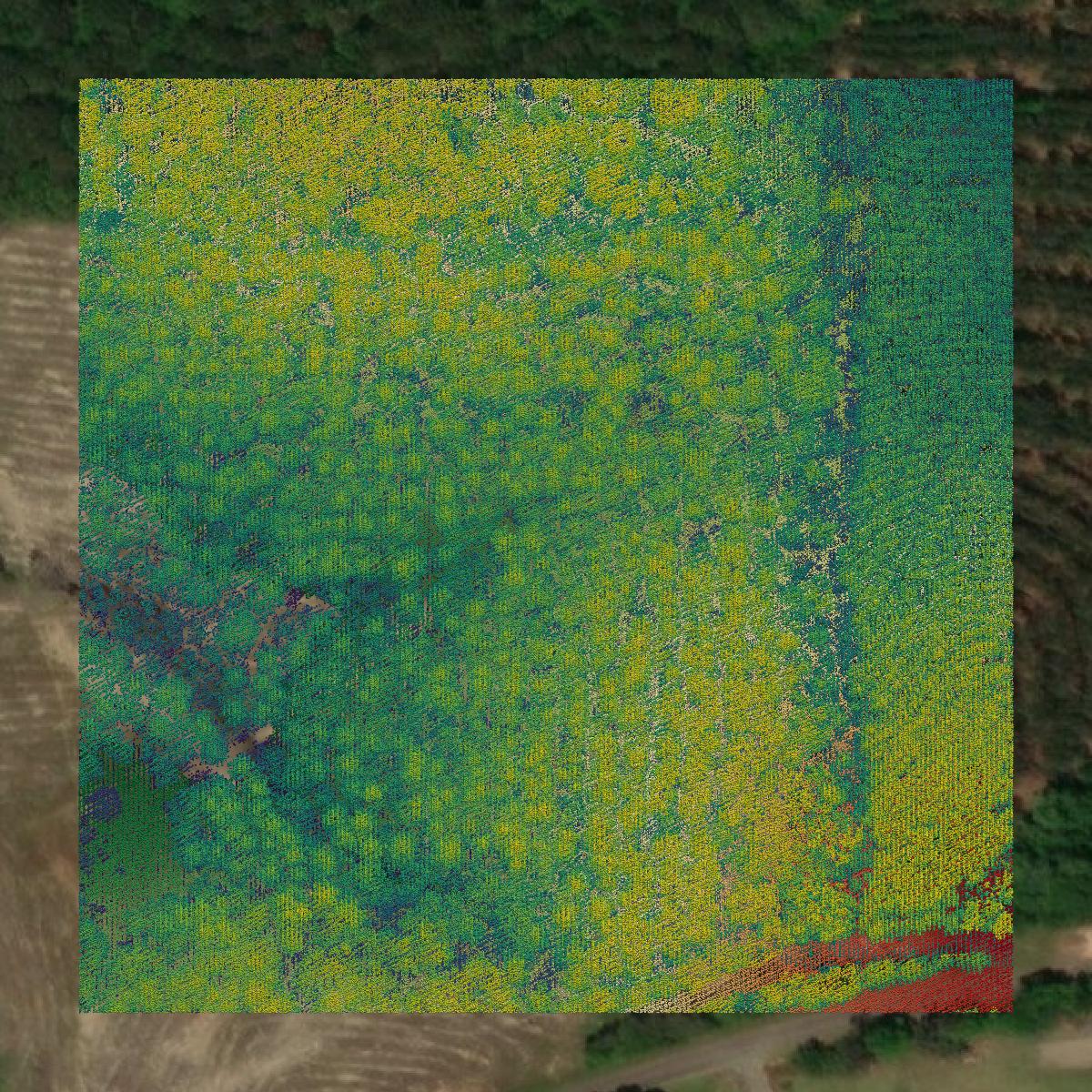 This image shows a LiDAR point cloud in Marion County created using GIS data in Equator.