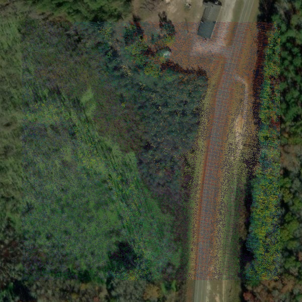 This image shows a LiDAR point cloud in McDuffie County created using GIS data in Equator.