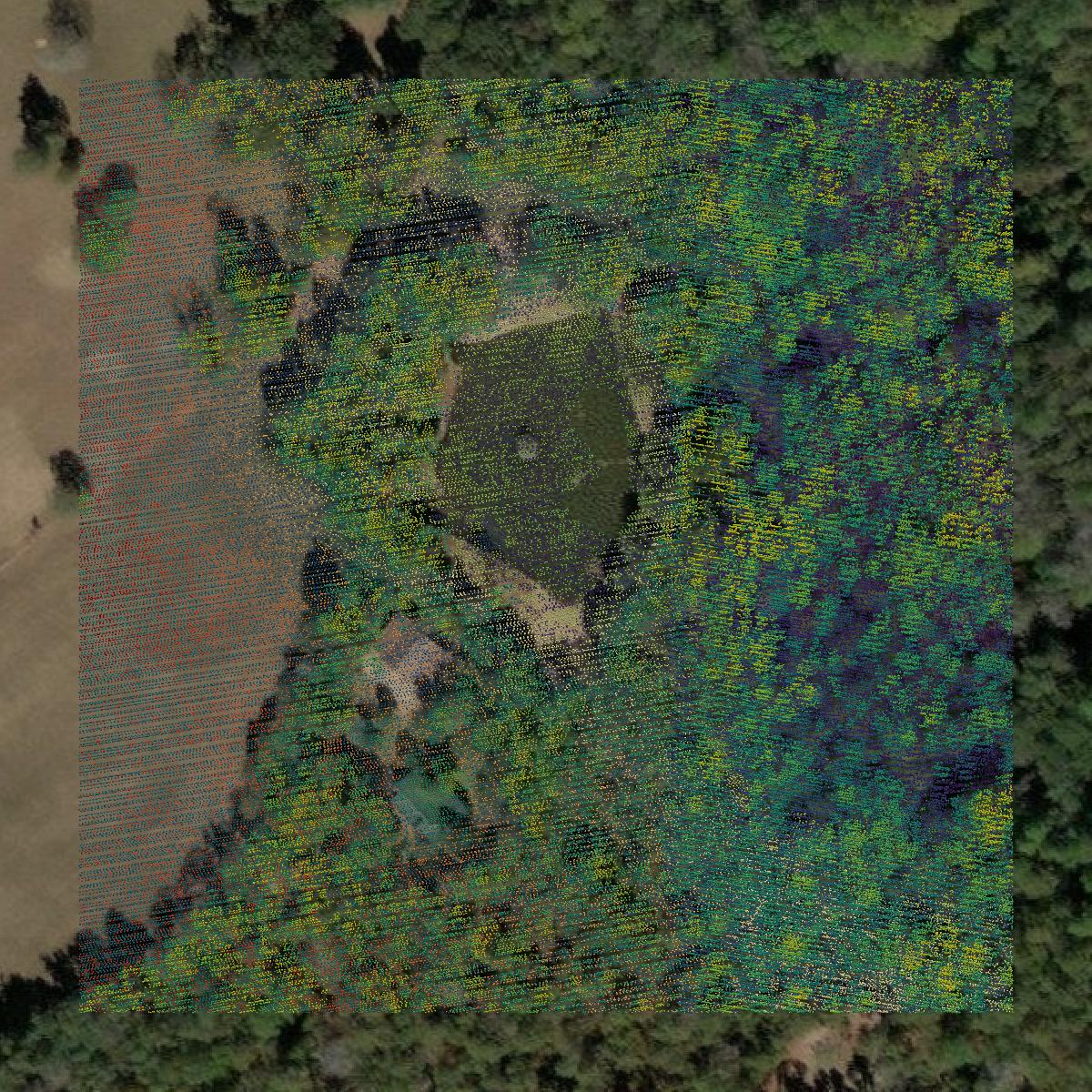 This image shows a LiDAR point cloud in McDuffie County created using GIS data in Equator.