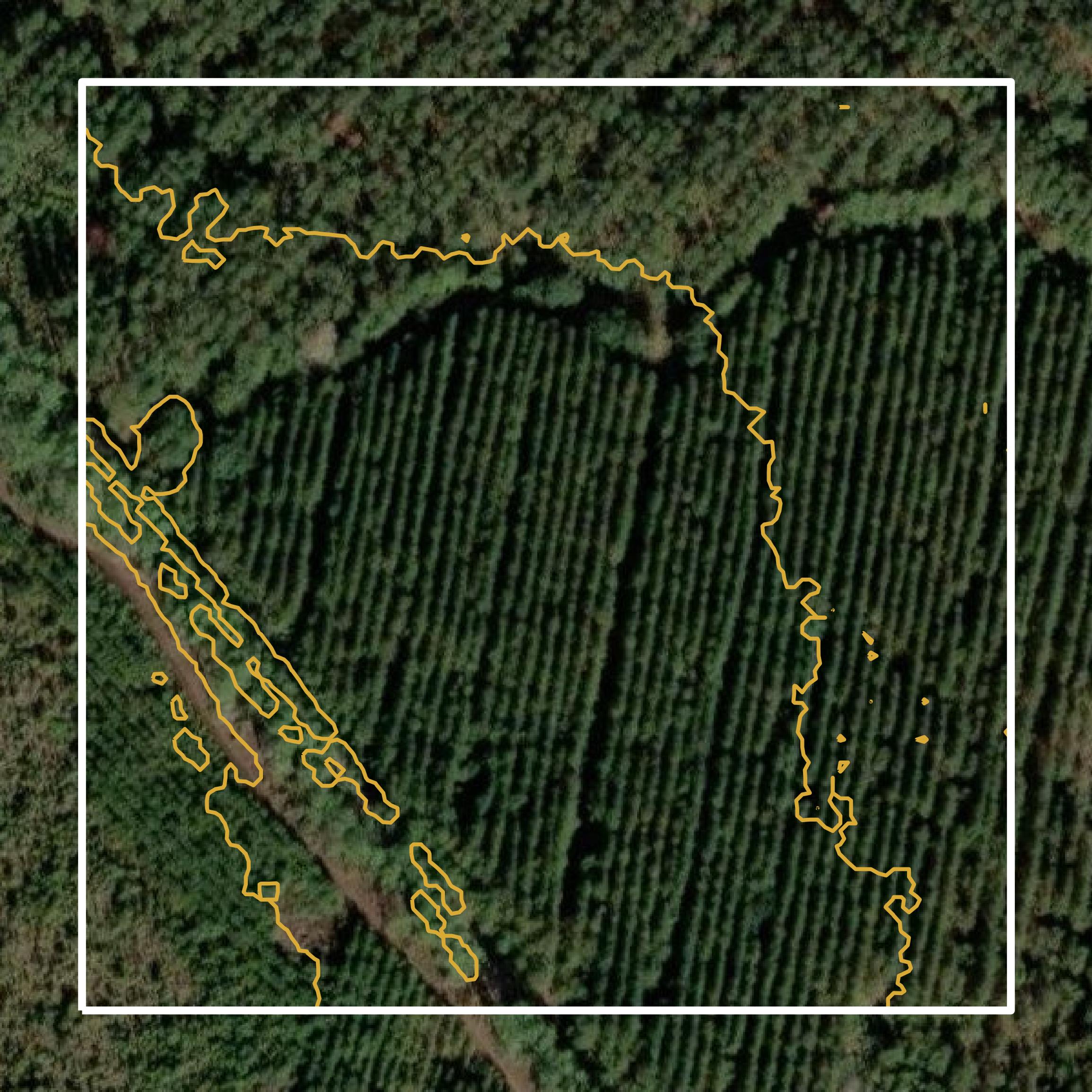 This image shows a contour map in McIntosh County created using GIS data in Equator.