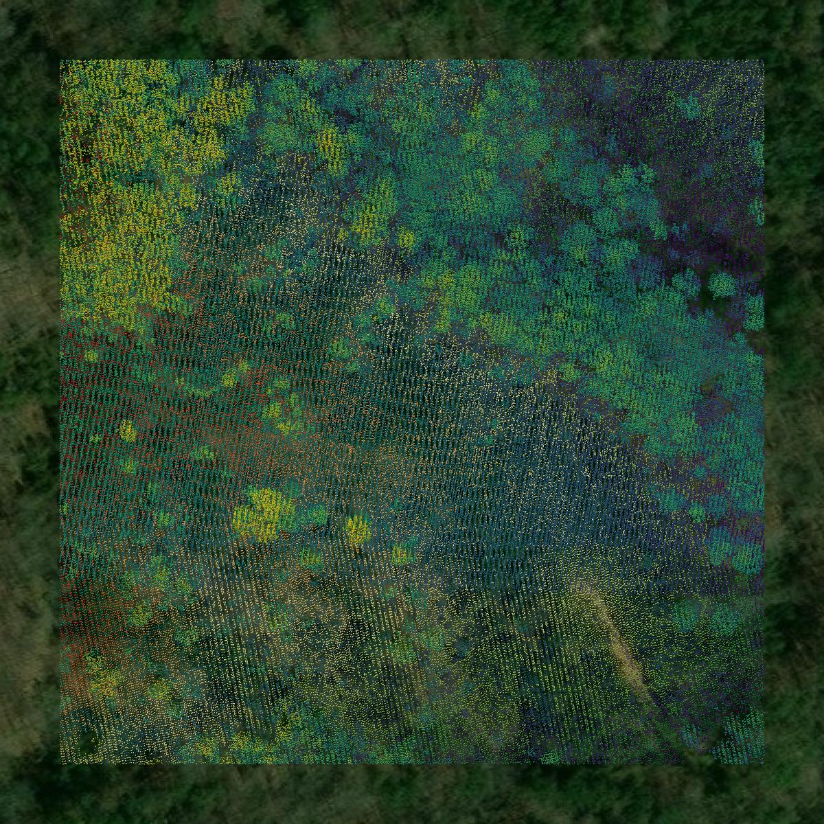 This image shows a LiDAR point cloud in Meriwether County created using GIS data in Equator.