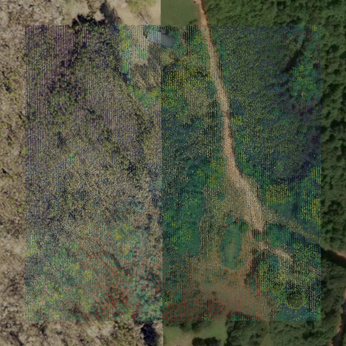 This image shows a LiDAR point cloud in Meriwether County created using GIS data in Equator.