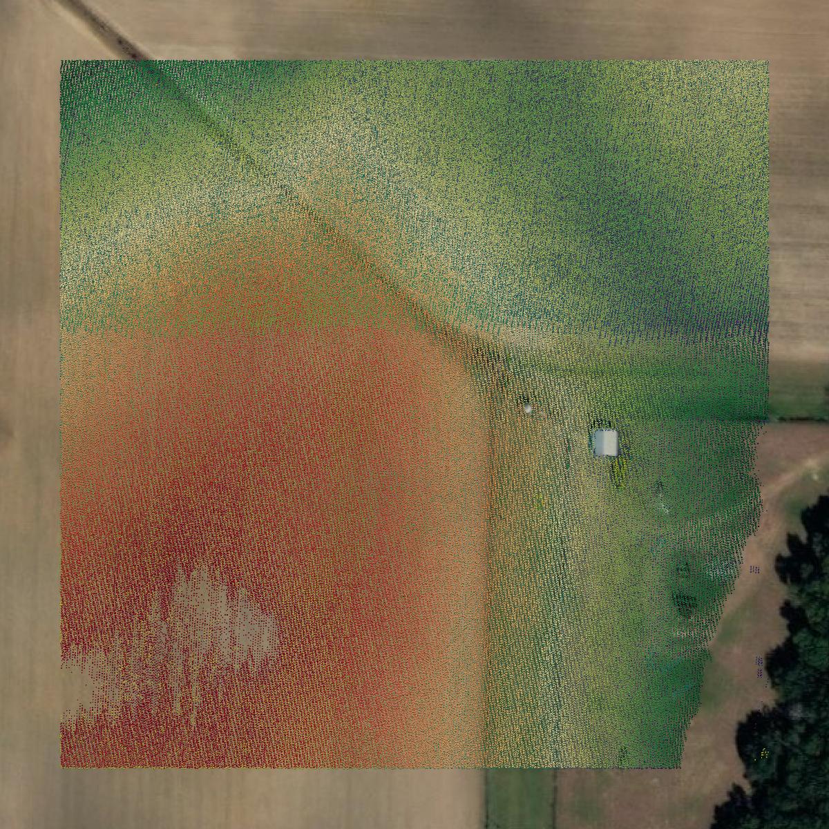 This image shows a LiDAR point cloud in Miller County created using GIS data in Equator.