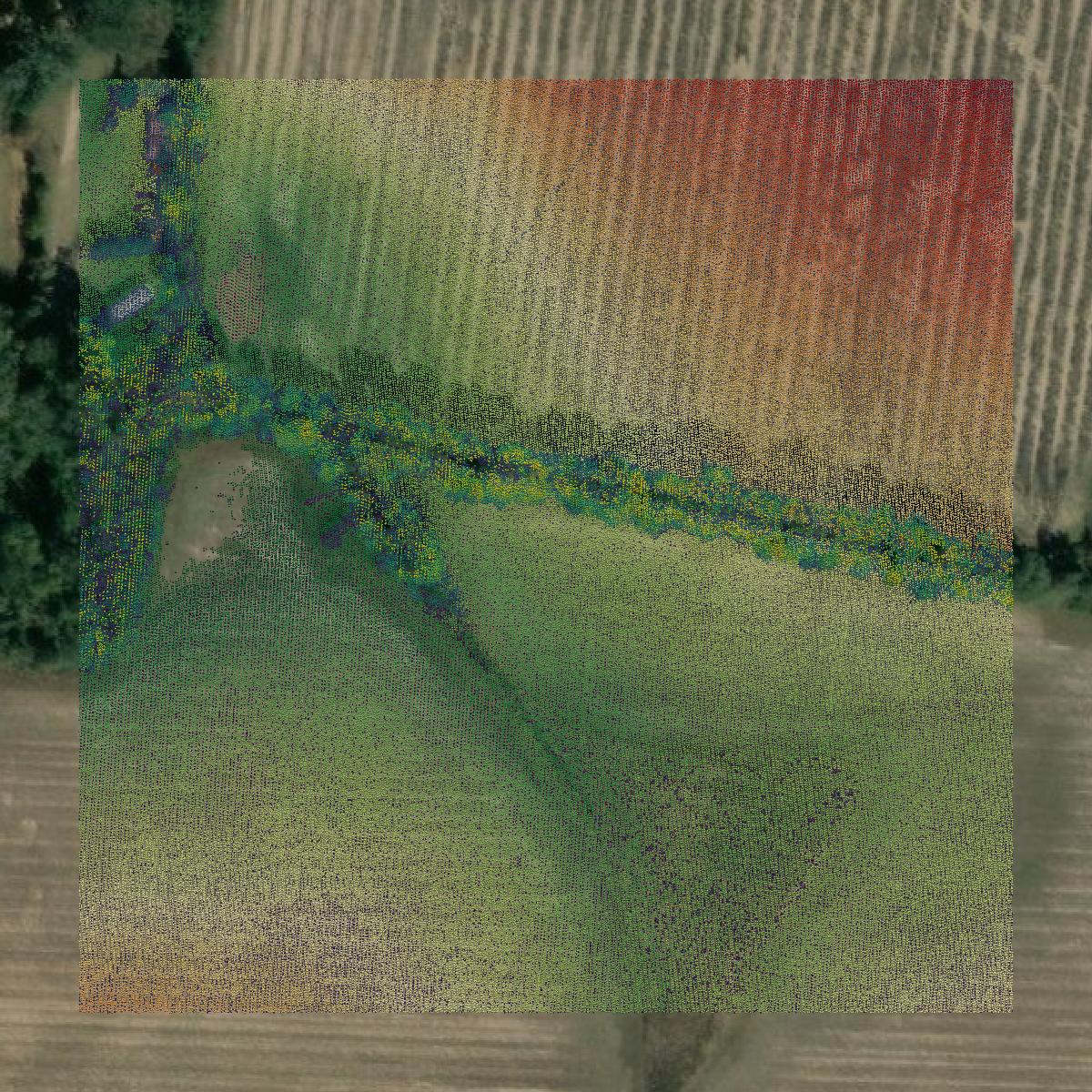 This image shows a LiDAR point cloud in Miller County created using GIS data in Equator.