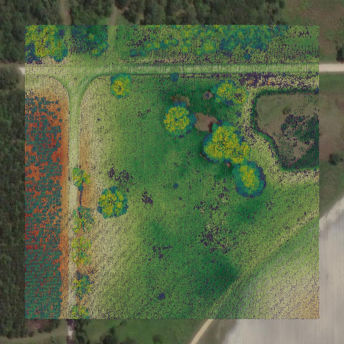 This image shows a LiDAR point cloud in Mitchell County created using GIS data in Equator.