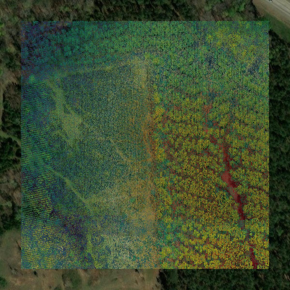 This image shows a LiDAR point cloud in Monroe County created using GIS data in Equator.