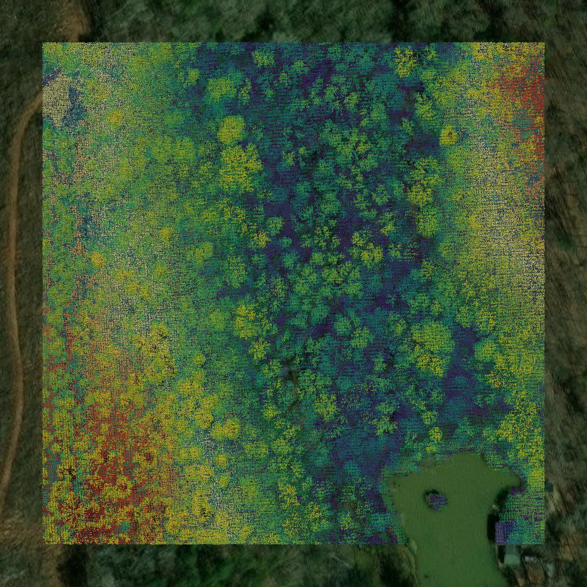 This image shows a LiDAR point cloud in Monroe County created using GIS data in Equator.