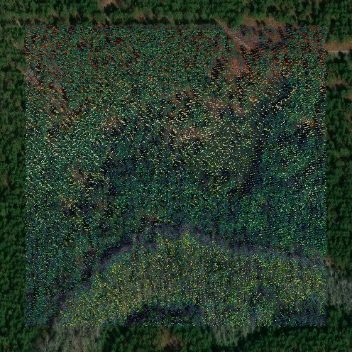 This image shows a LiDAR point cloud in Montgomery County created using GIS data in Equator.