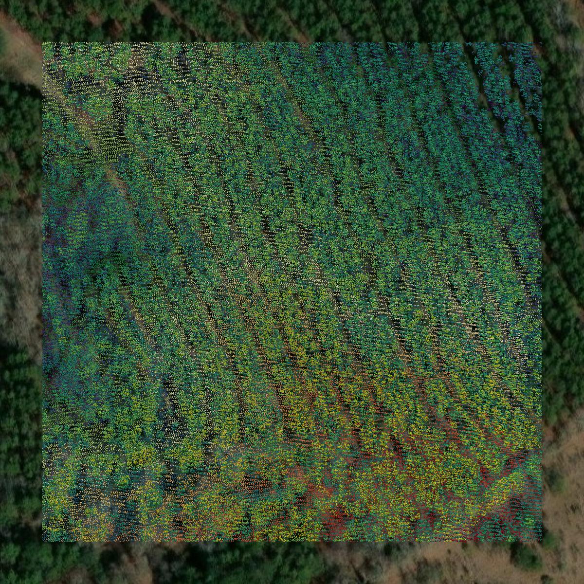 This image shows a LiDAR point cloud in Montgomery County created using GIS data in Equator.