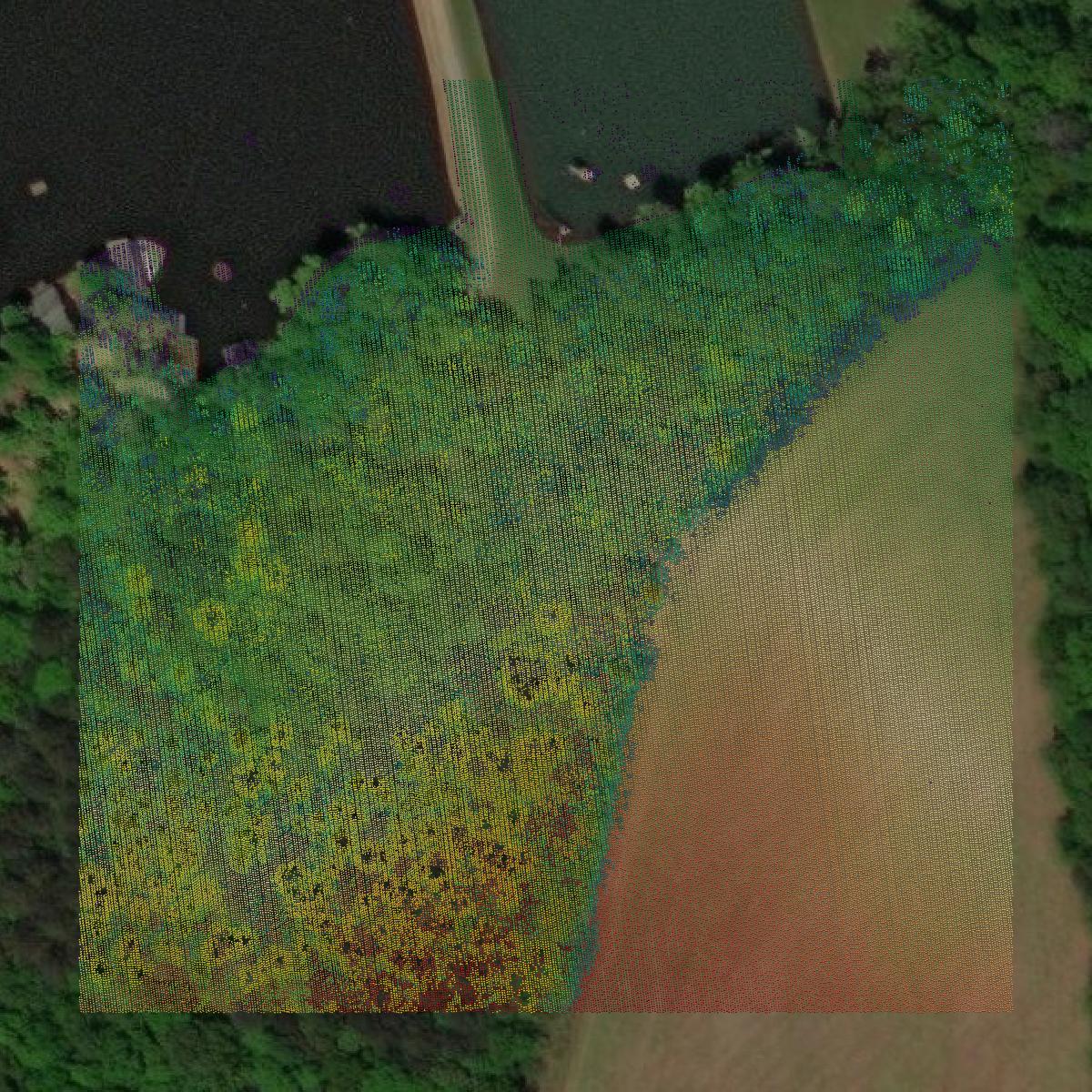 This image shows a LiDAR point cloud in Morgan County created using GIS data in Equator.