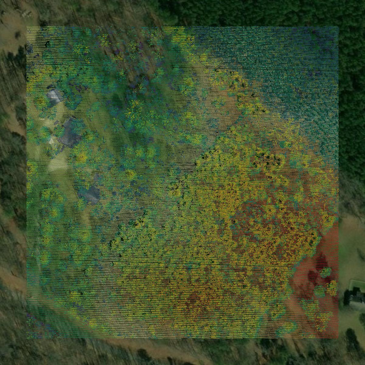 This image shows a LiDAR point cloud in Morgan County created using GIS data in Equator.