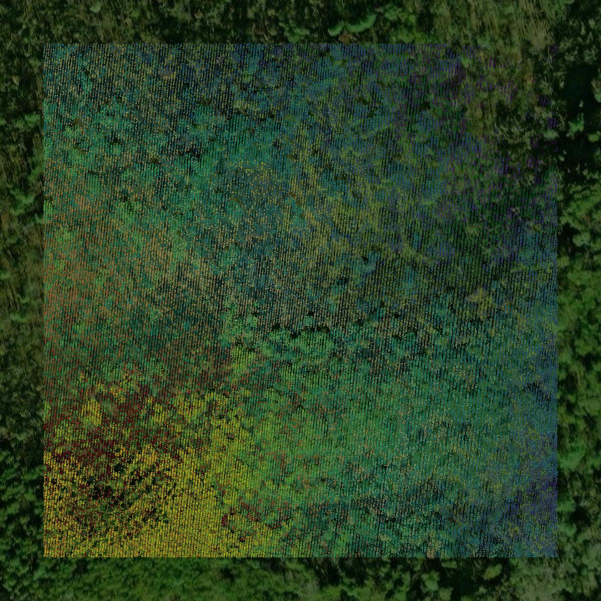 This image shows a LiDAR point cloud in Murray County created using GIS data in Equator.