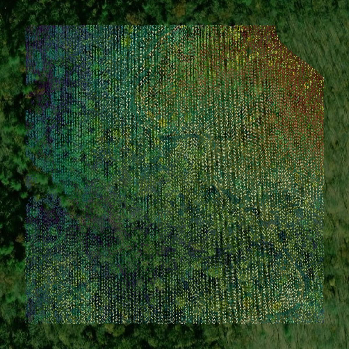 This image shows a LiDAR point cloud in Murray County created using GIS data in Equator.