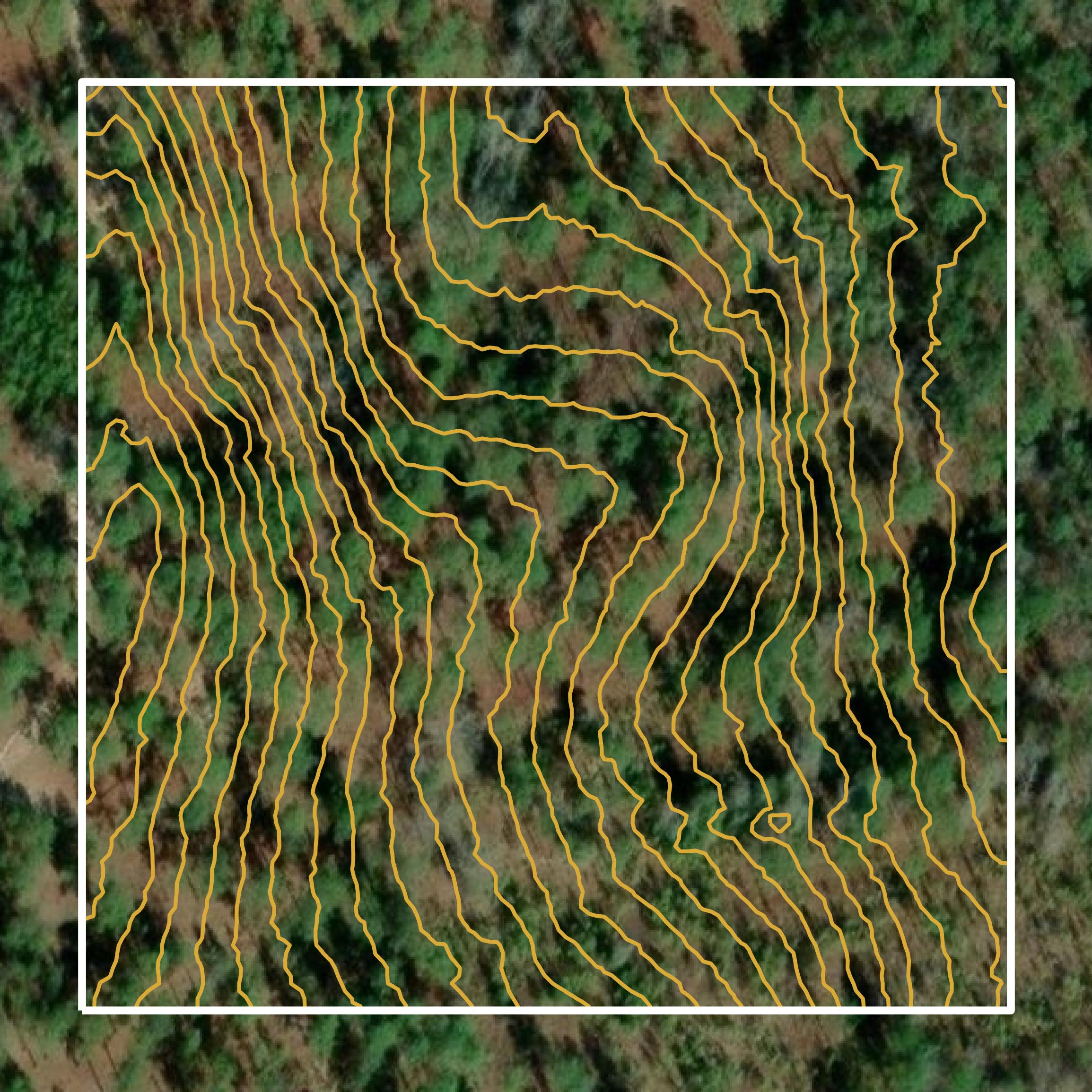 This image shows a contour map in Muscogee County created using GIS data in Equator.