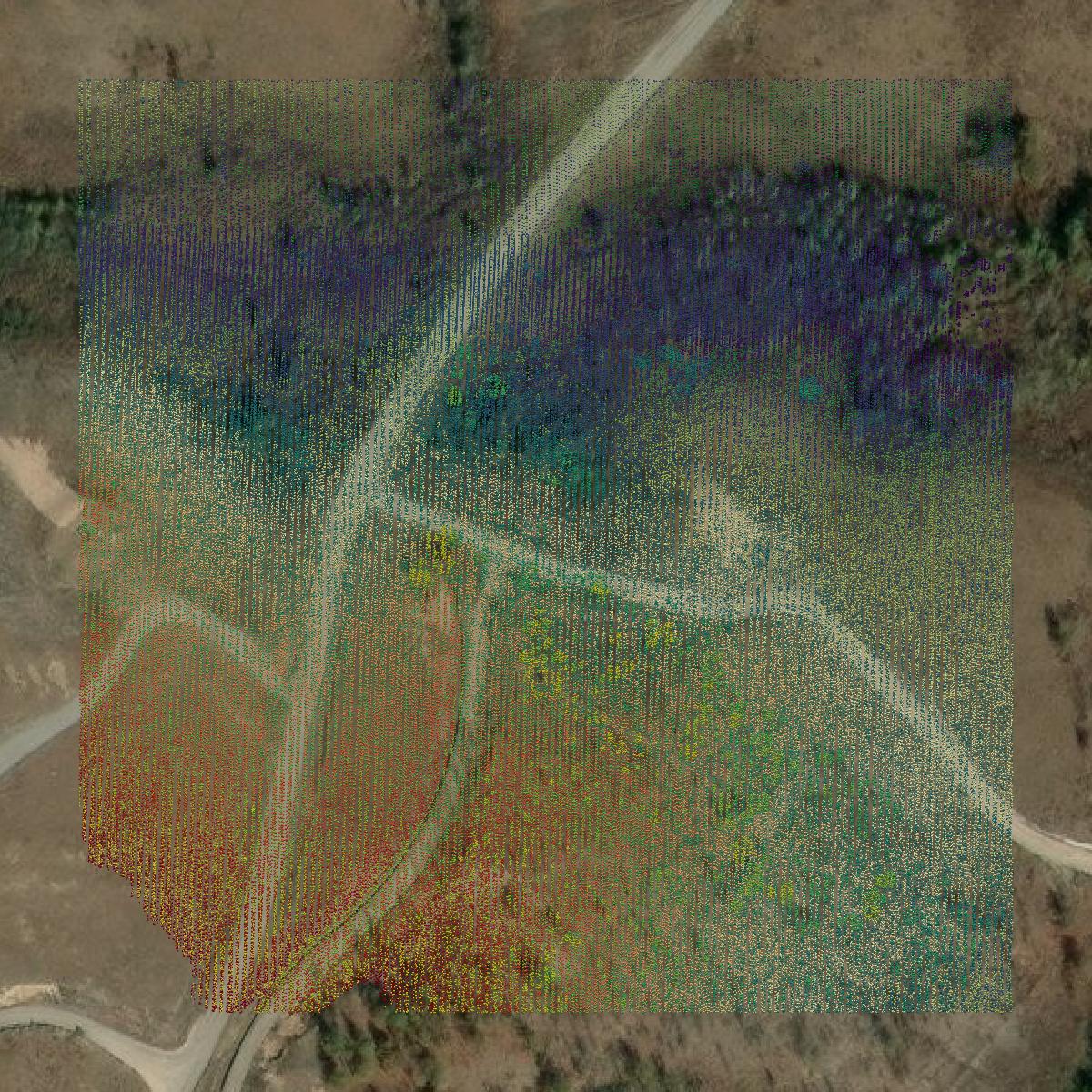 This image shows a LiDAR point cloud in Muscogee County created using GIS data in Equator.