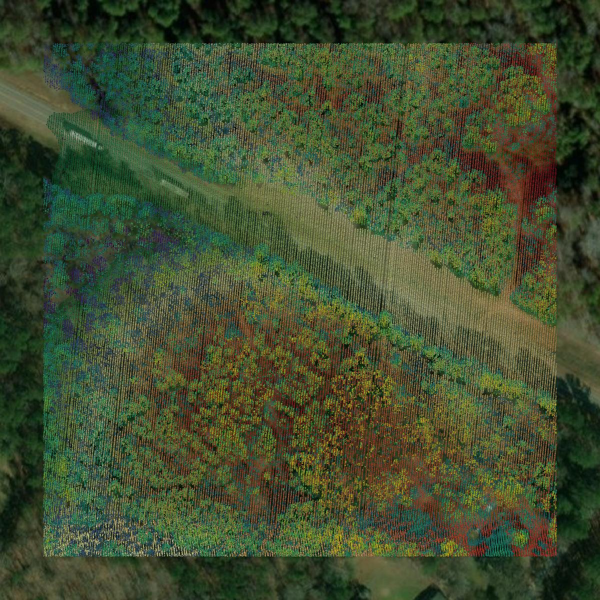 This image shows a LiDAR point cloud in Newton County created using GIS data in Equator.