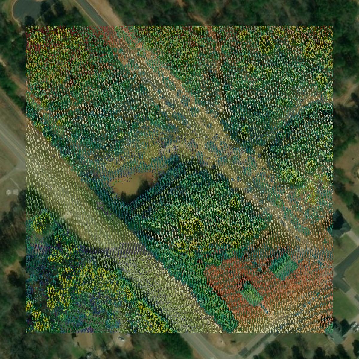 This image shows a LiDAR point cloud in Newton County created using GIS data in Equator.
